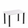 DREVONA09 Jedálenský stôl 120 x 80 biely REA FLAT 2