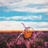 Obraz na plátne Bicykel v levanduli, 50x50 cm%