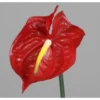 Umelá kvetina Anthurium 65 cm, červená%